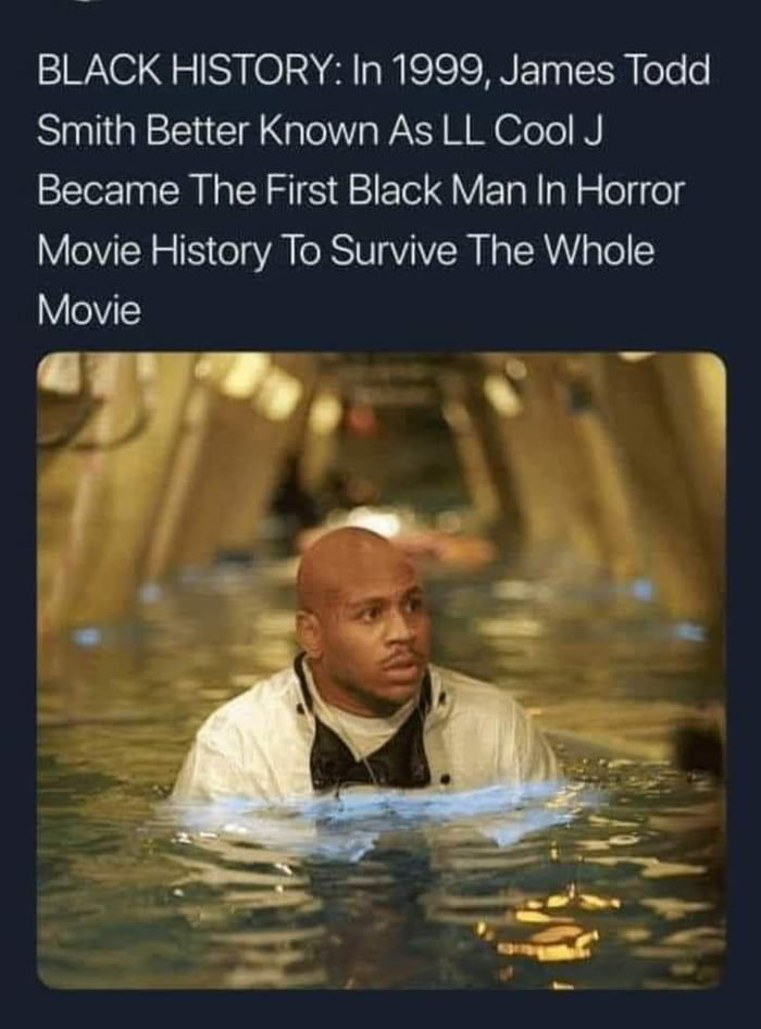 BLACK HISTORY In 1999 James Todd Smith Better Known As LL Cool J Became The First Black Man In Horror Movie History To Survive The Whole Movie T