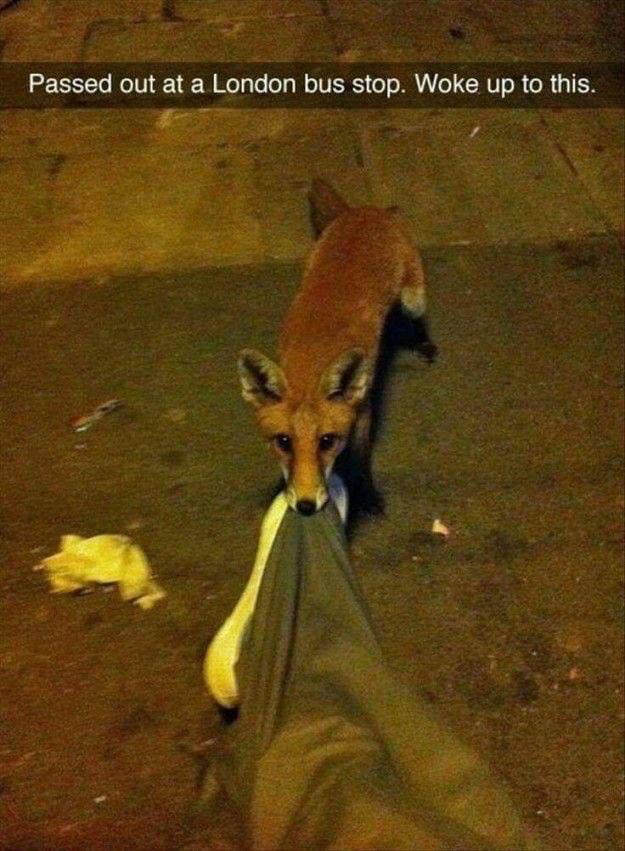 Passed out at a London bus stop Woke up to this