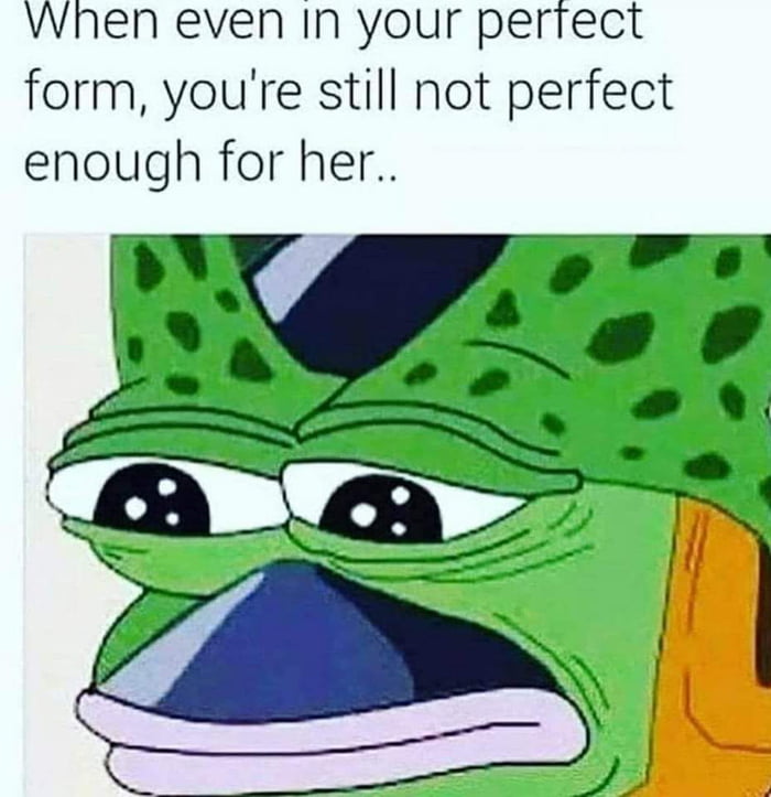 when even In your perrect form youre still not perfect enough for her