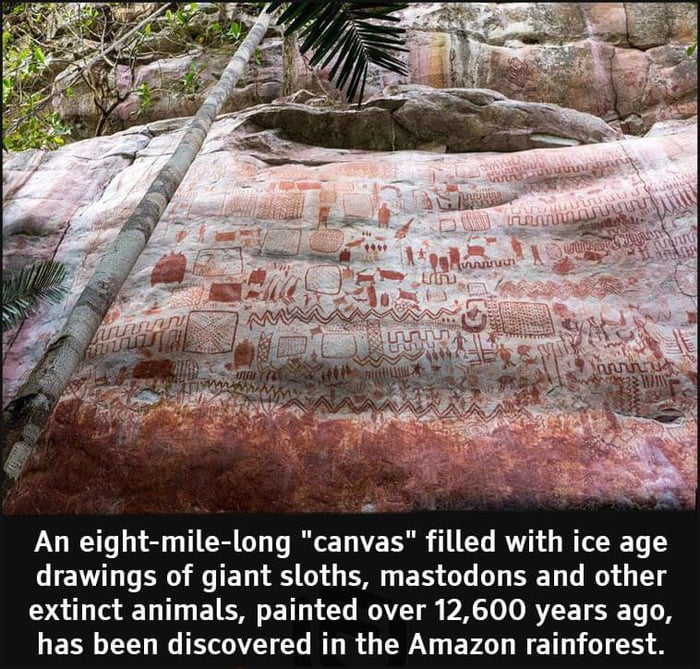 An eight mile long canvas filled with ice age LN L Il E T S 0 G I E RO T T Y 1 extinct animals painted over 12600 years ago HESN Y W O U R G RN EFO L R ET G