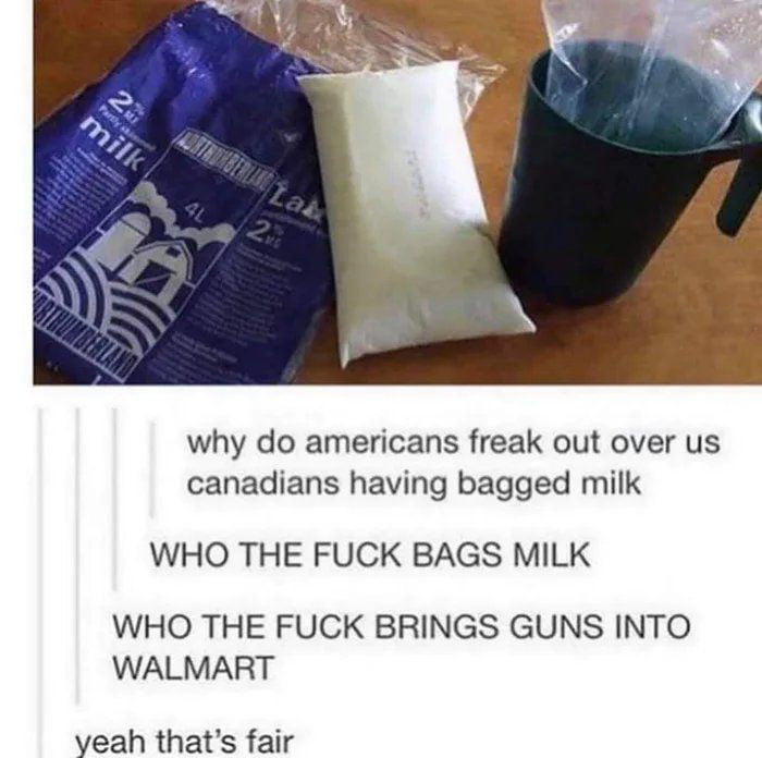 why do americans freak out over us canadians having bagged milk WHO THE FUCK BAGS MILK WHO THE FUCK BRINGS GUNS INTO WALMART yeah thats fair