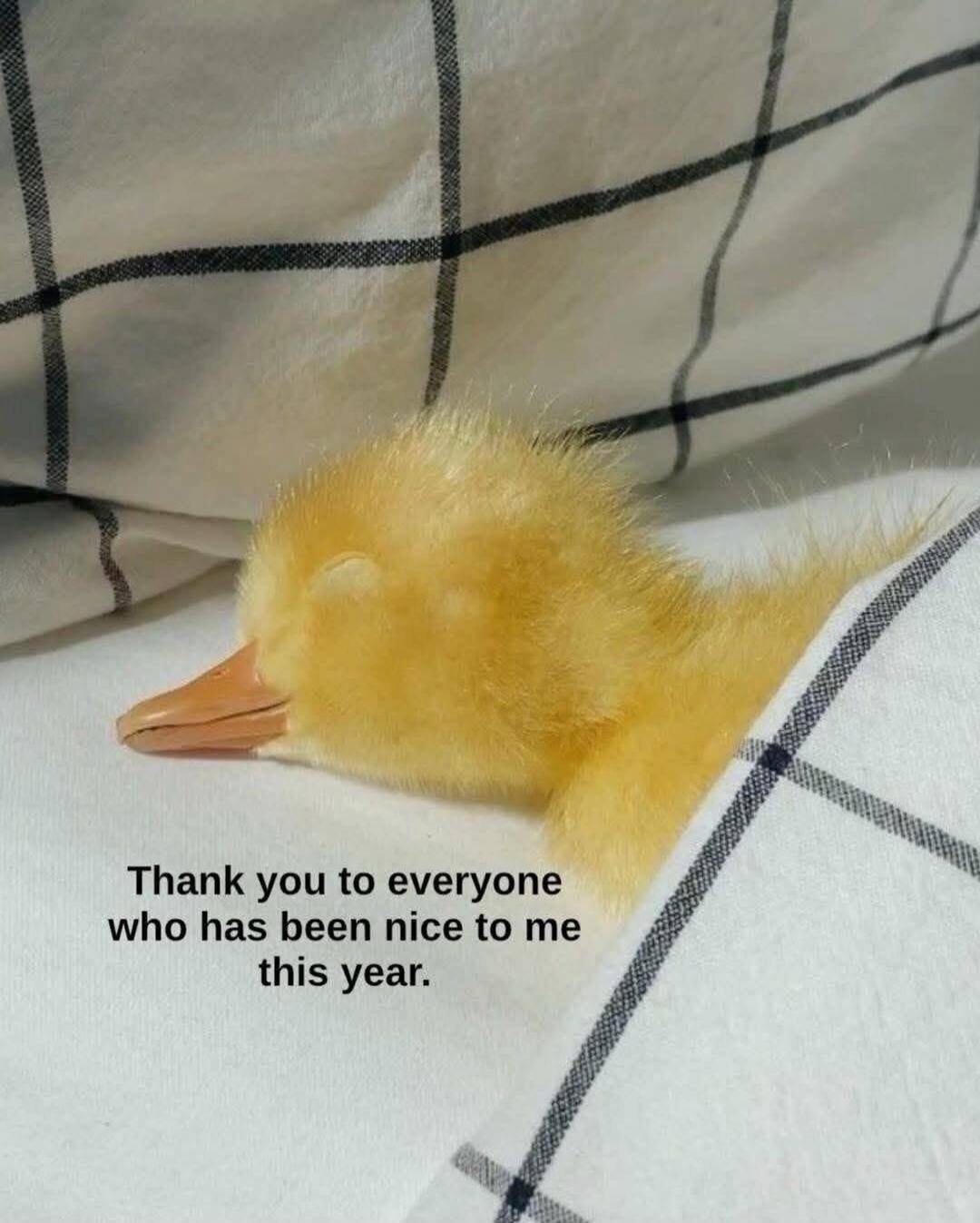 Thank you to everyone who has been nice to me this year.
