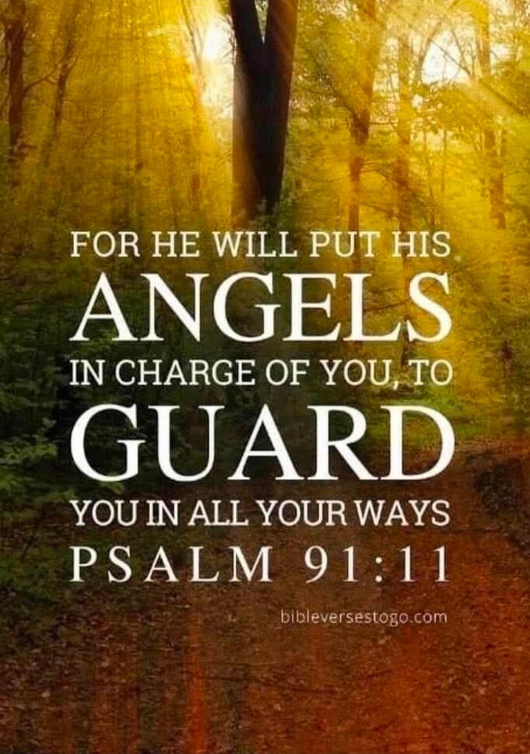 FOR HE WILL PUT HIS ANGELS IN CHARGE OF YOU, TO GUARD YOU IN ALL YOUR WAYS PSALM 91:11