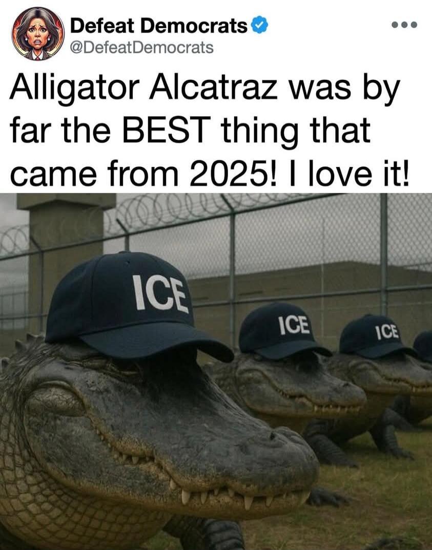 Defeat Democrats @DefeatDemocrats
Alligator Alcatraz was by far the BEST thing that came from 2025! I love it!