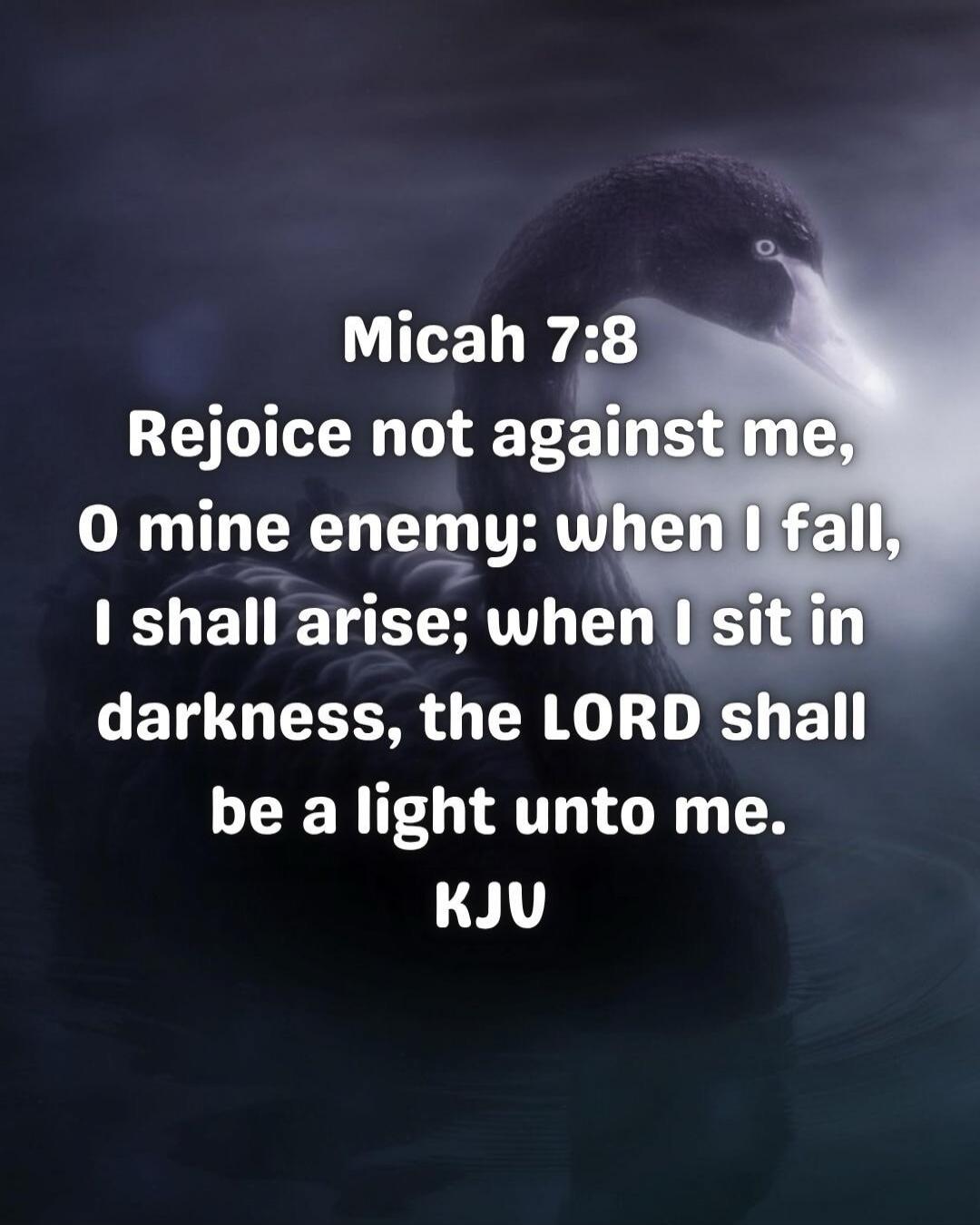 Micah 7:8 Rejoice not against me, O mine enemy: when I fall, I shall arise; when I sit in darkness, the LORD shall be a light unto me. KJV