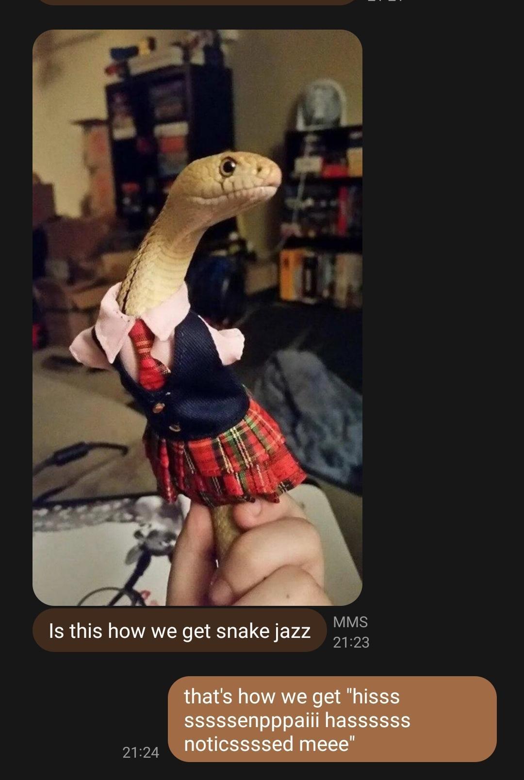 MMS Is this how we get snake jazz 5 2124