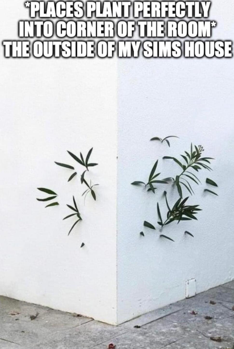 PLACES PLANTIPERFECTLY INTOt GIIIIIIEIIIIF THEROOMj