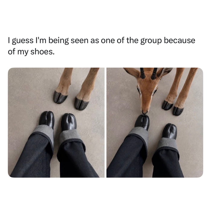 I guess I'm being seen as one of the group because of my shoes.