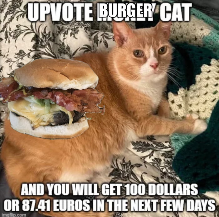 UPVOTE BURGER CAT AND YOU WILL GET 100 DOLLARS OR 87.41 EUROS IN THE NEXT FEW DAYS