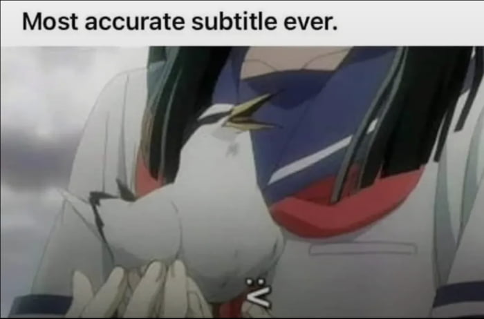 Most accurate subtitle ever. :V
