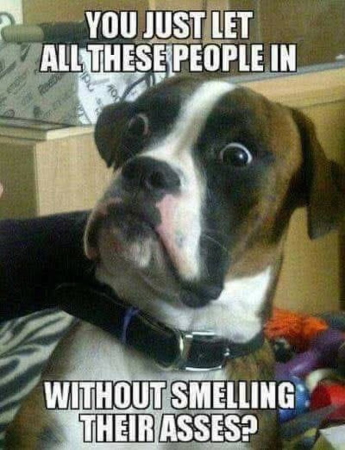 YOU JUST LET ALL THESE PEOPLE IN WITHOUT SMELLING THEIR ASSES?