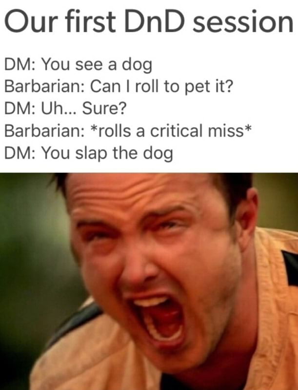 Our first DnD session DM You see a dog Barbarian Can roll to pet it DM Uh Sure Barbarian rolls a critical miss DM You slap the dog