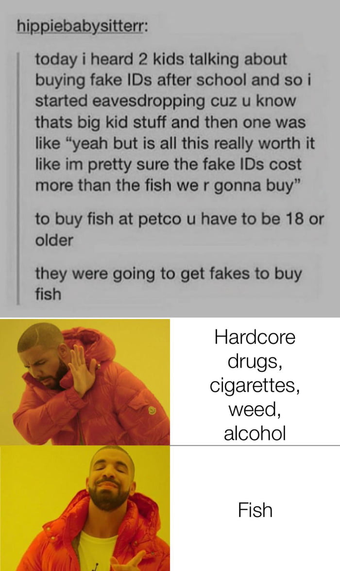 hippiebabysitterr today i heard 2 kids talking about buying fake IDs after school and so i started eavesdropping cuz u know thats big kid stuff and then one was like yeah but is all this really worth it like im pretty sure the fake IDs cost more than the fish we r gonna buy to buy fish at petco u have to be 18 or older they were going to get fakes to buy fish Hardcore drugs cigarettes weed alcohol