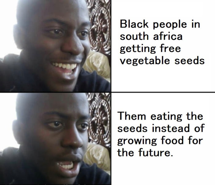 Black people in south africa getting free vegetable seeds Al Them eating the seeds instead of growing food for the future