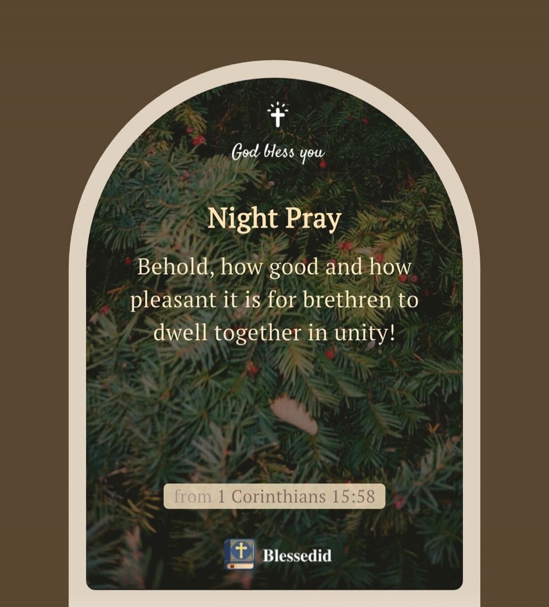God bless you
Night Pray
Behold, how good and how pleasant it is for brethren to dwell together in unity!
from 1 Corinthians 15:58