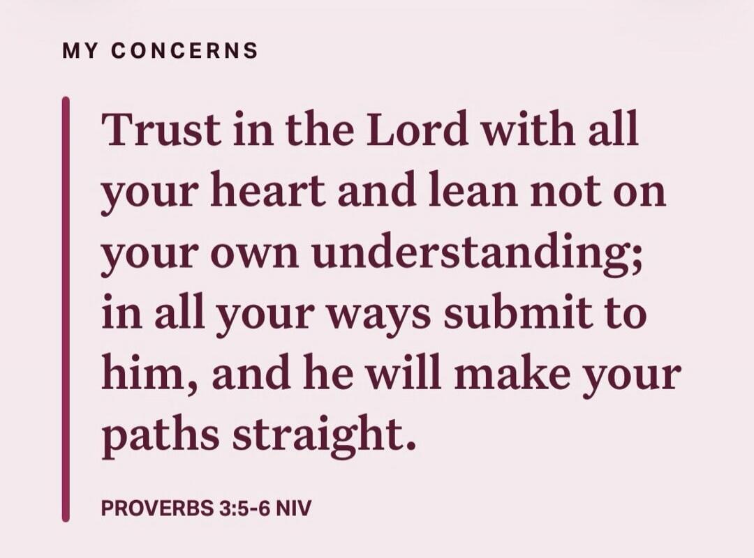MY CONCERNS Trust in the Lord with all your heart and lean not on your own understanding; in all your ways submit to him, and he will make your paths straight. PROVERBS 3:5-6 NIV