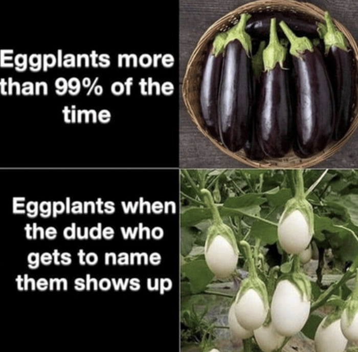 Eggplants more QEDR LN R T time Eggplants when the dude who O ERCEN