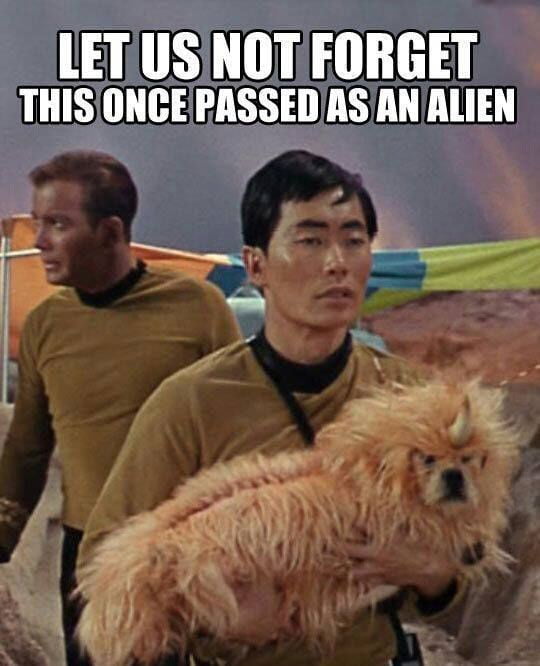 LETUSINOT FORGET THISONCE PASSEDASANALIEN Yy e A