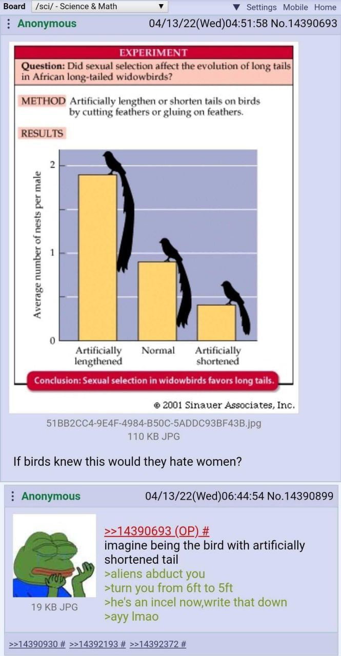 Board scl Science Math v V Settings Mobile Home Anonymous 041322Wed045158 No14390693 Question Did sexual selection affect the evolution of long tails in African long tailed widowbirds METHOD Artificially lengthen or shorten tails on birds by cutting feathers or gluing on feathers RESULTS Average number of nests per male Adificially Normal Artificially lengthened shortened 2001 Sinaver Associates I