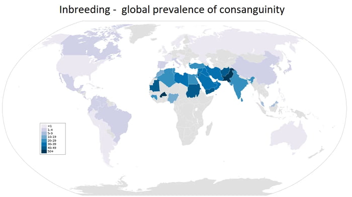 Inbreeding global prevalence of consanguinity 5
