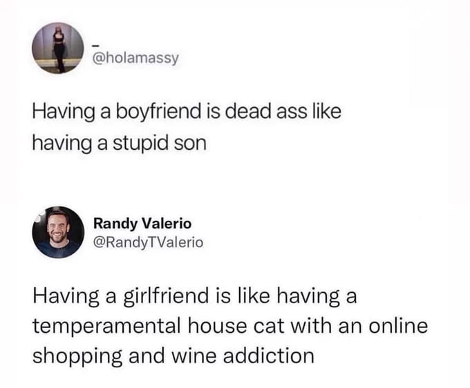 holamassy Having a boyfriend is dead ass like having a stupid son Randy Valerio RandyTValerio Having a girlfriend is like having a temperamental house cat with an online shopping and wine addiction