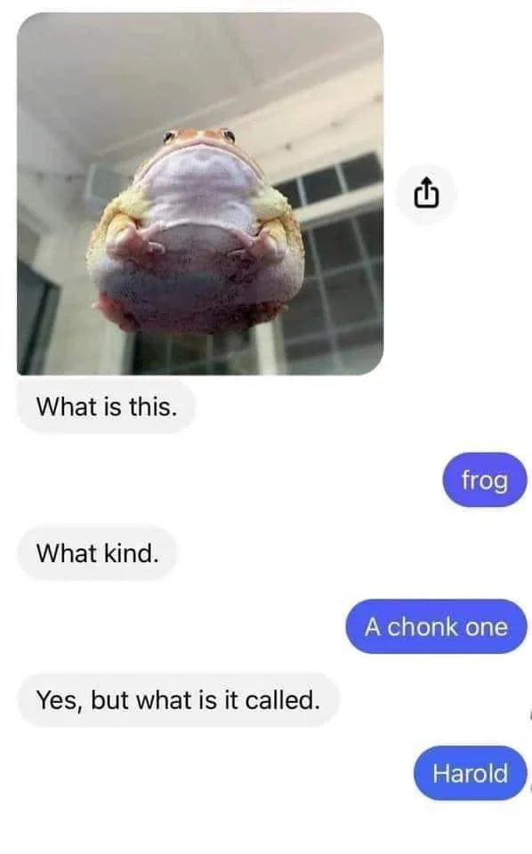 What is this What kind Yes but what is it called