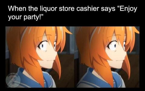 When the liquor store cashier says Enjoy your party o