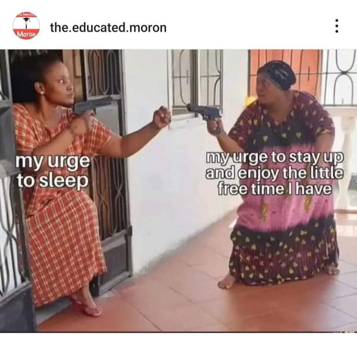 wiey theeducatedmoron
