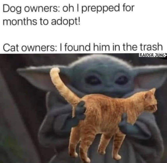 Dog owners oh prepped for months to adopt Cat owners found him in the trash v U