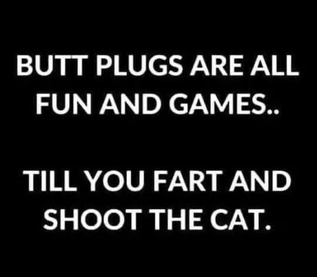 BUTT PLUGS ARE ALL FUN AND GAMES TILL YOU FART AND SHOOT THE CAT