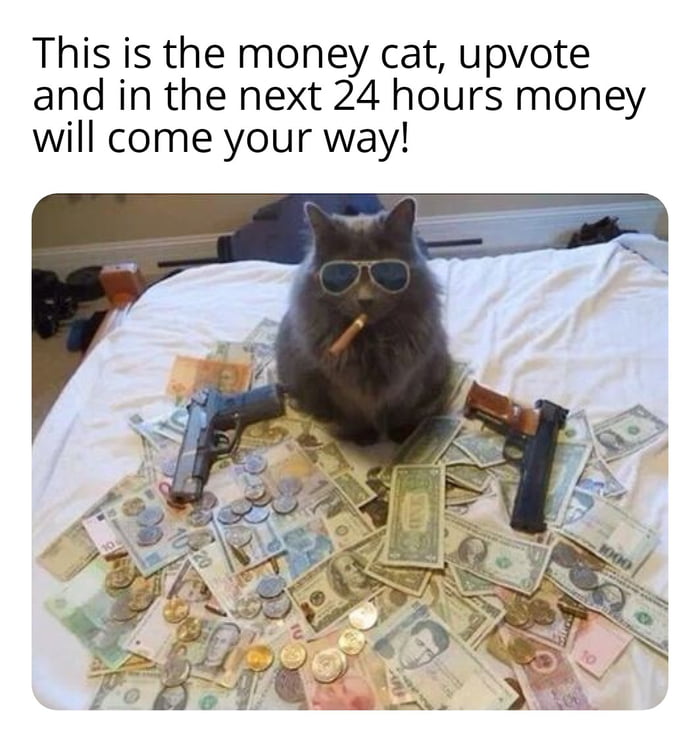 This is the money cat upvote and in the next 24 hours money will come your way