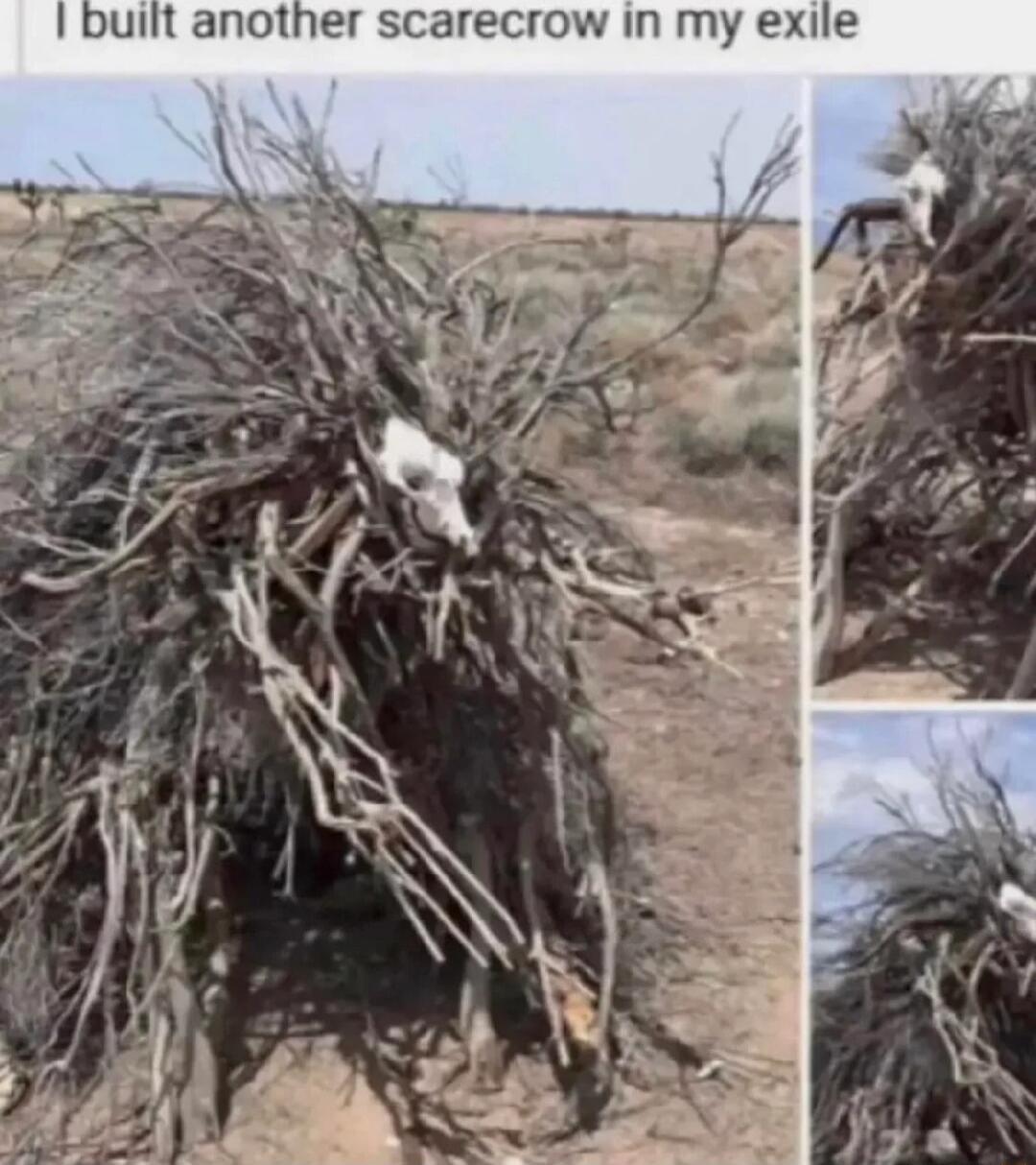 built another scarecrow in my exile