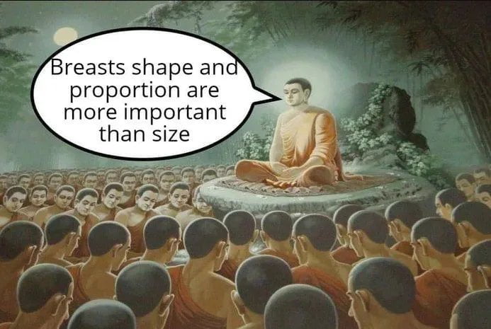 Breasts shape and proportion are more important than size