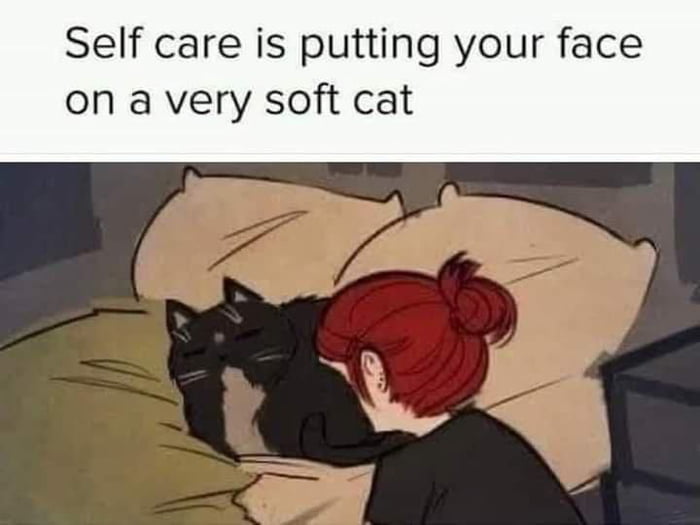 Self care is putting your face on a very soft cat