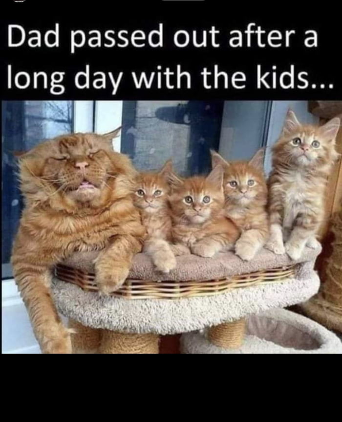 DEo N EINYTe RolUidYa l gF long day with the kids T