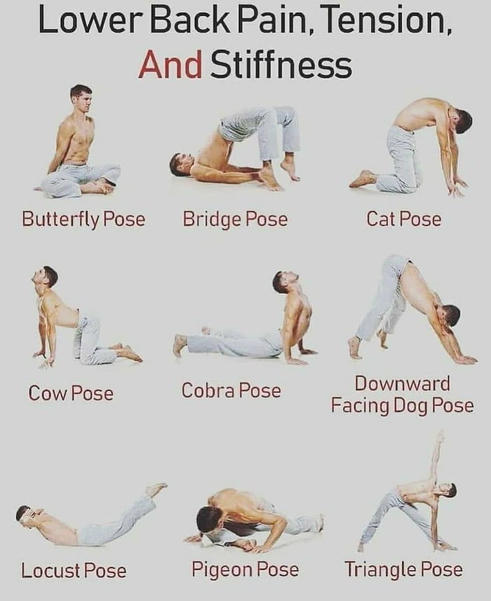 Lower Back Pain Tension And Stiffness SN AN ButterflyPose Bridge Pose Cat Pose Cobra P Downward Coificse Bl Facing Dog Pose My T Locust Pose Pigeon Pose Triangle Pose