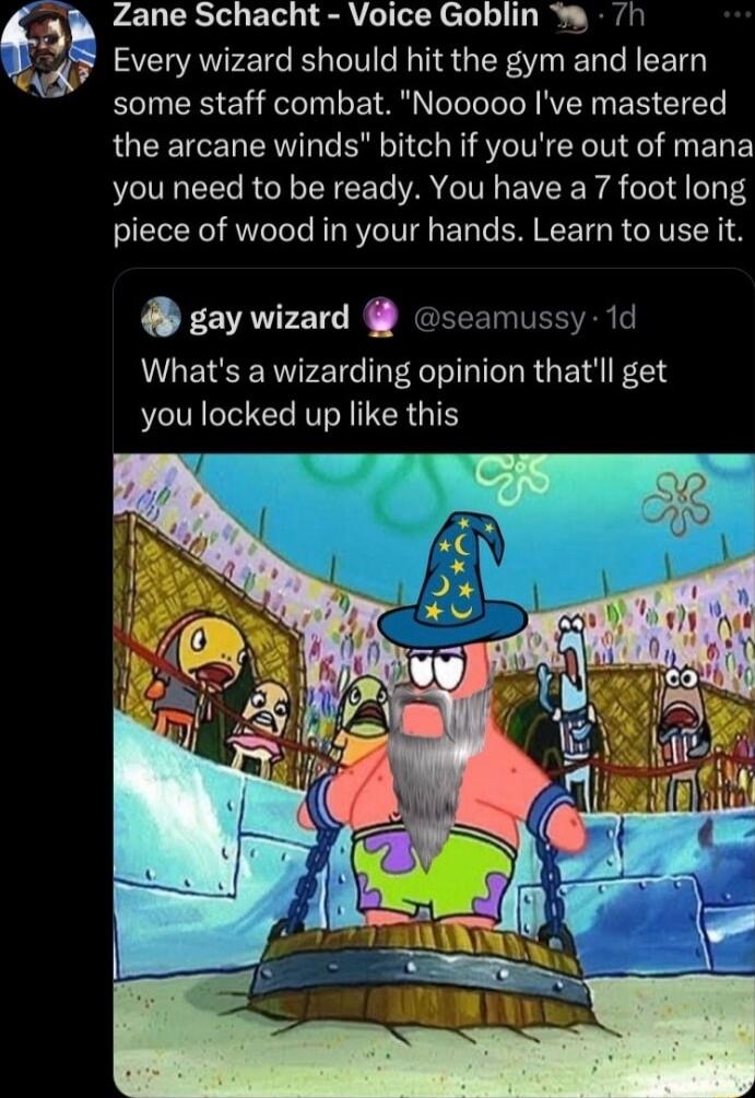 Zane Schacht Voice Goblin h Every wizard should hit the gym and learn some staff combat Nooooo Ive mastered the arcane winds bitch if youre out of mana you need to be ready You have a 7 foot long piece of wood in your hands Learn to use it gay wizard se y 1d Whats a wizarding opinion thatll get you locked up like this