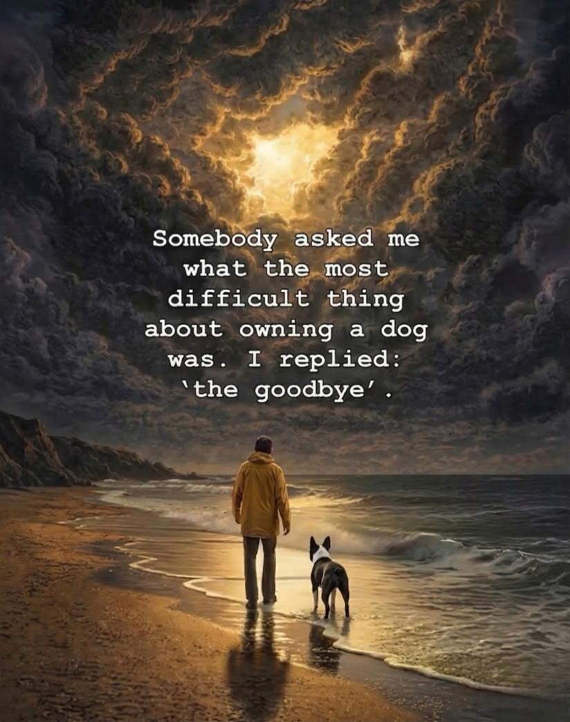 Somebody asked me what the most difficult thing about owning a dog was. I replied: 'the goodbye'.