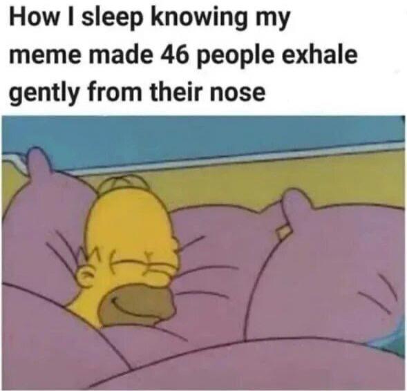 How I sleep knowing my meme made 46 people exhale gently from their nose