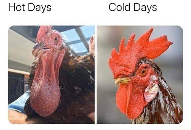 Hot Days Cold Days
