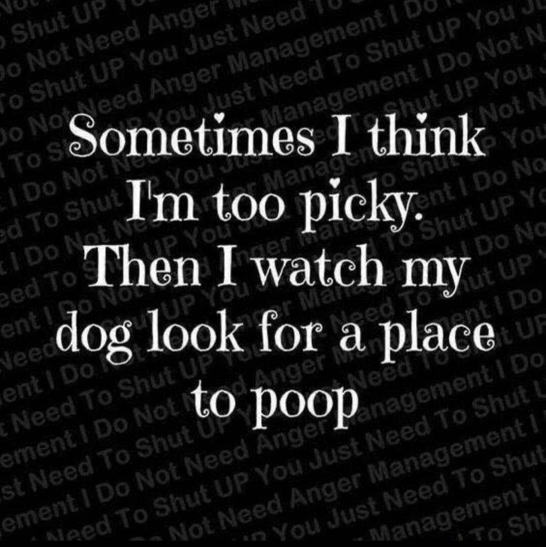 Sometimes I think I'm too picky. Then I watch my dog look for a place to poop