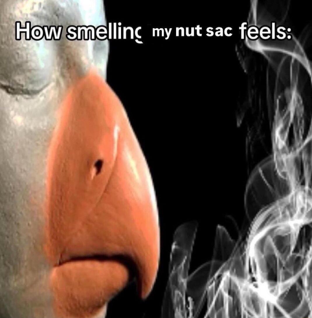 flhiowismelling mynut sac feels b