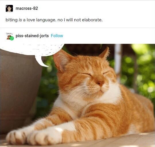 B mocoss 2 biting is a love language no i will not elaborate 2 piss stainedtjorts Folow