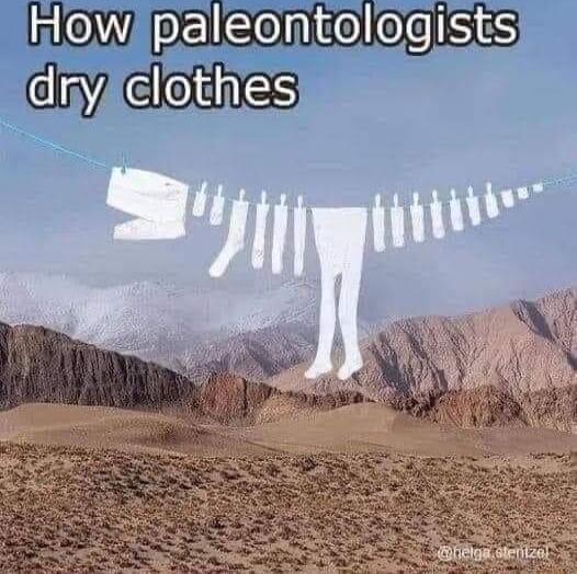 How paleontolog