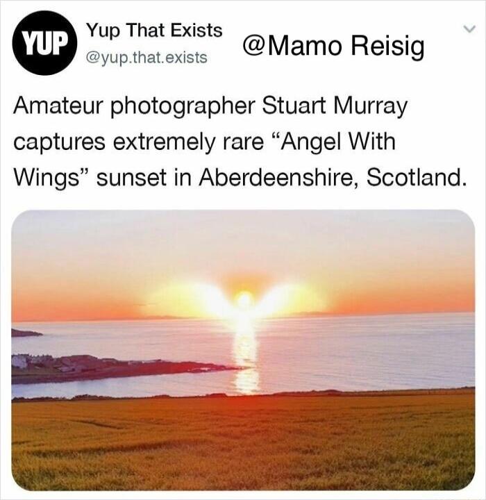 Yup That Exists Amateur photographer Stuart Murray captures extremely rare Angel With Wings sunset in Aberdeenshire Scotland