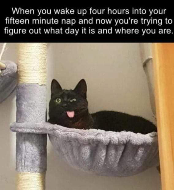 When you wake up four hours into your fifteen minute nap and now youre trying to figure out what day it is and where you are