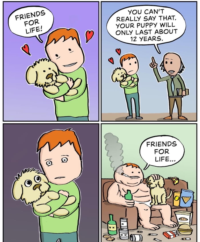YOU CANT REALLY SAY THAT YOUR PUPPY WILL ONLY LAST ABOUT 12 YEARS DAVECONTRA DAVECONTRACOM