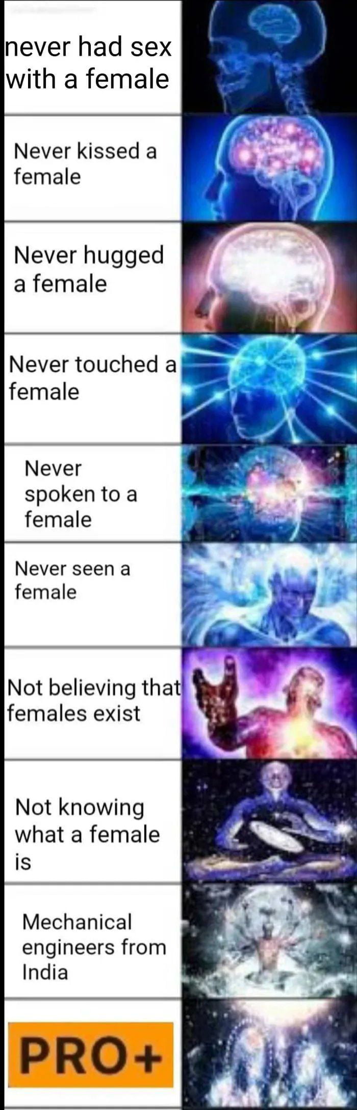 never had sex with a female Never kissed a female Never hugged a female Never touched a s i female e S Never spokentoa female Never seen a female Not believing that females exist Not knowing what a female is Mechanical engineers from India