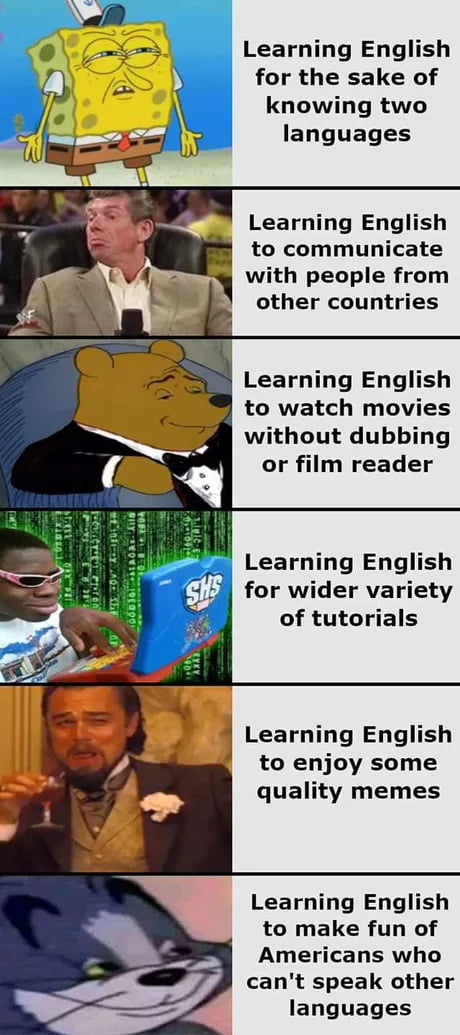 Learning English for the sake of knowing two languages Learning English to communicate with people from other countries Learning English to watch movies without dubbing or film reader Learning English for wider variety of tutorials Learning English to enjoy some quality memes Learning English to make fun of Americans who cant speak other languages