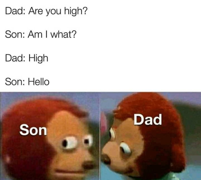 Dad Are you high Son Am what Dad High Son Hello